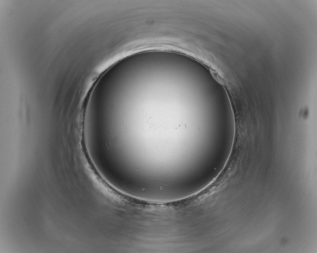 X0000091221526200708091357