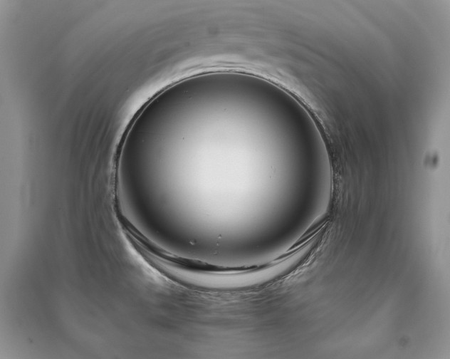 X0000091221527200708091357