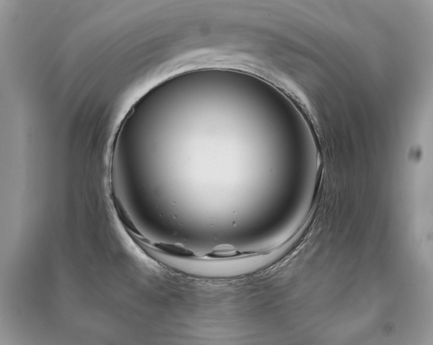 X0000091221528200708091357