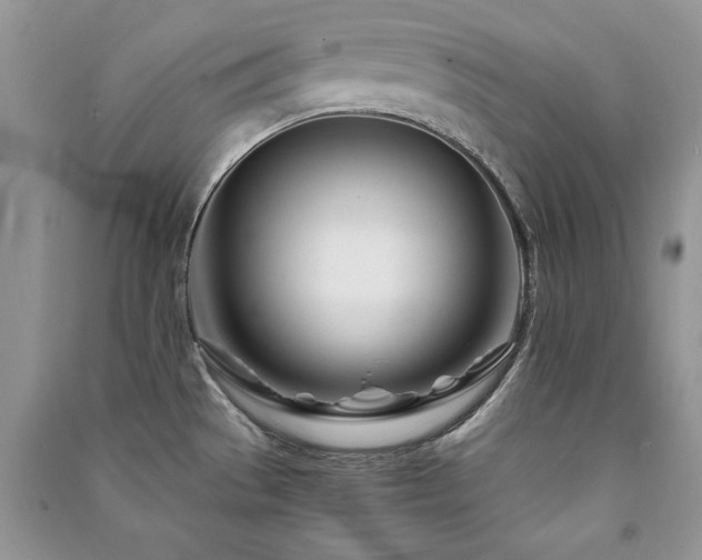 X0000091221529200708091357