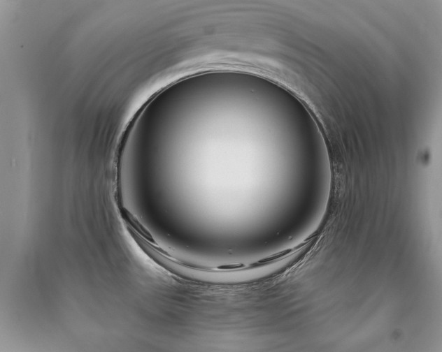 X0000091221531200708091357