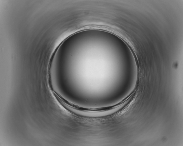 X0000091221533200708091357