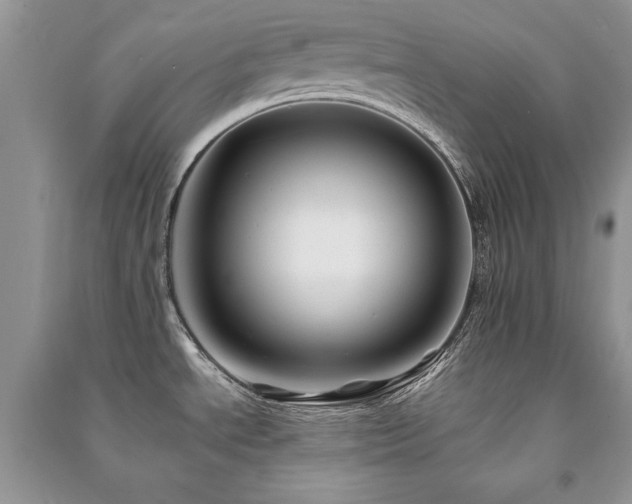 X0000091221534200708091357