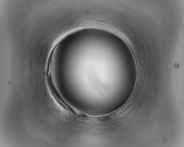 X0000091221536200708091357