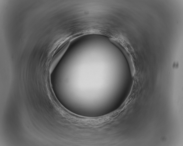 X0000091220001200708161706