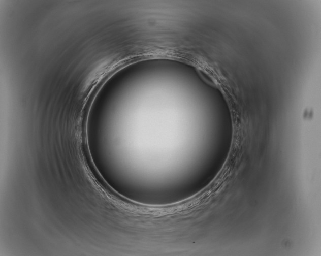 X0000091220002200708161706