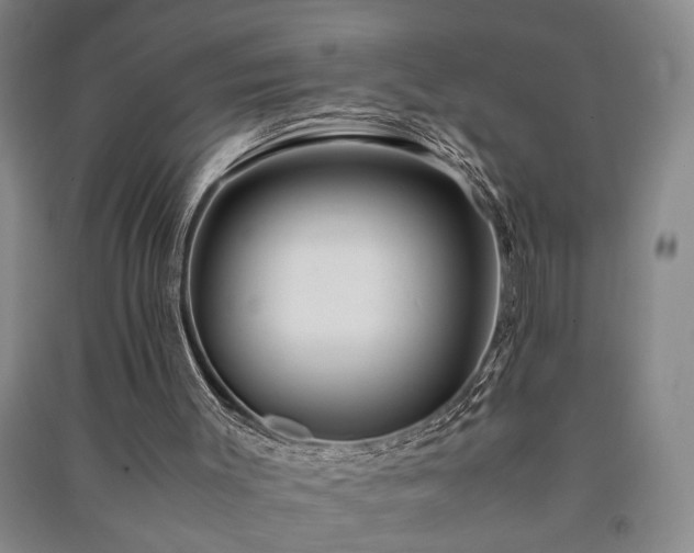 X0000091220003200708161706