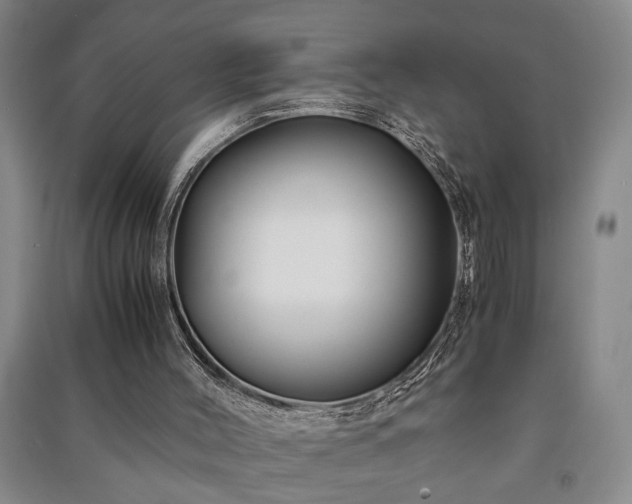 X0000091220004200708161706