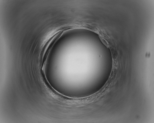 X0000091220005200708161706