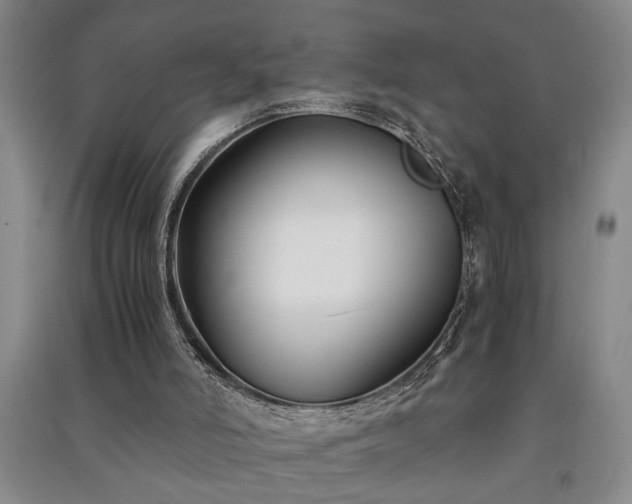 X0000091220006200708161706