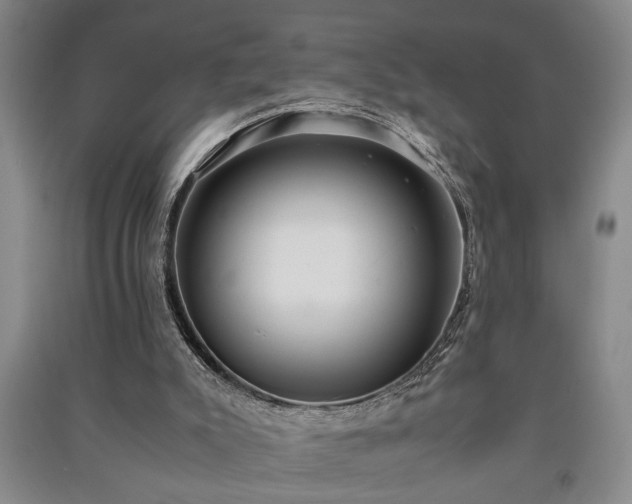 X0000091220007200708161706