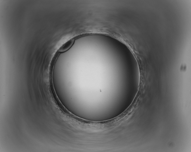 X0000091220008200708161706