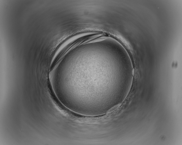 X0000091220009200708161706