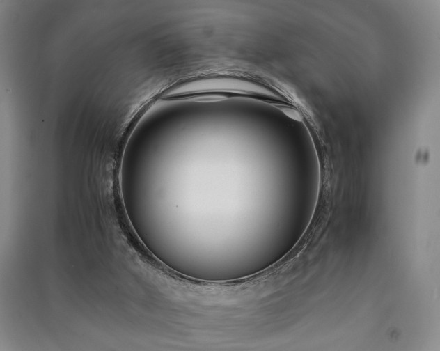 X0000091220010200708161705