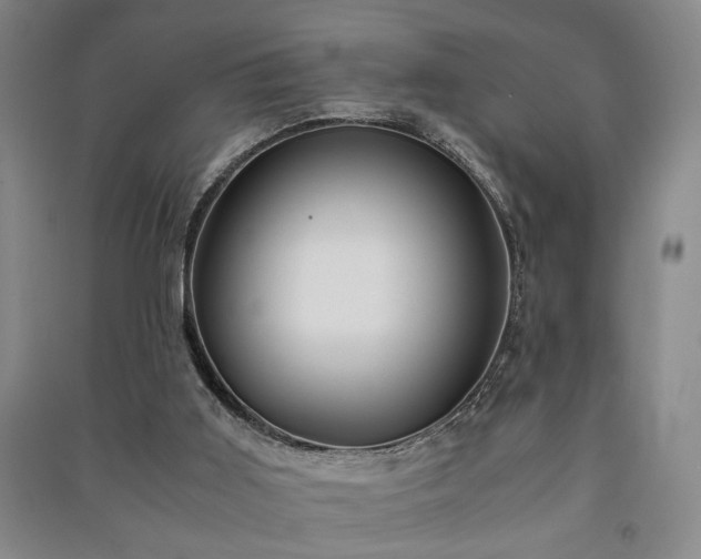 X0000091220011200708161705