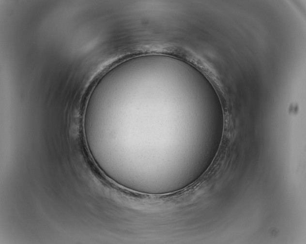 X0000091220012200708161705