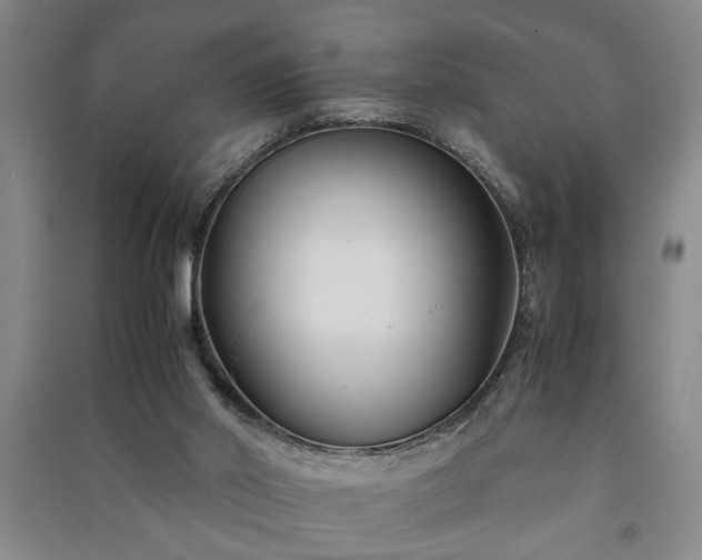 X0000091220014200708161705