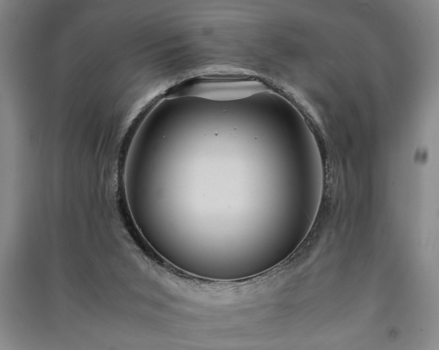 X0000091220015200708161705