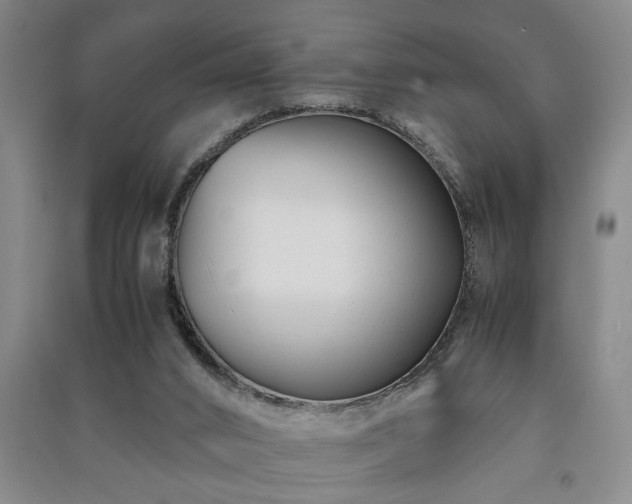 X0000091220016200708161705