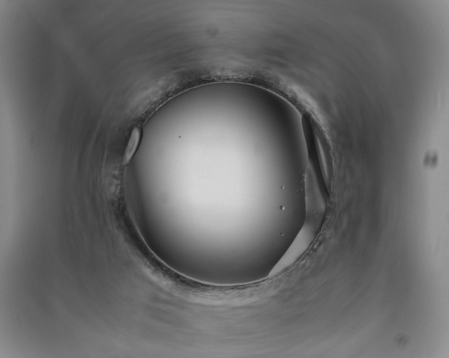 X0000091220017200708161705