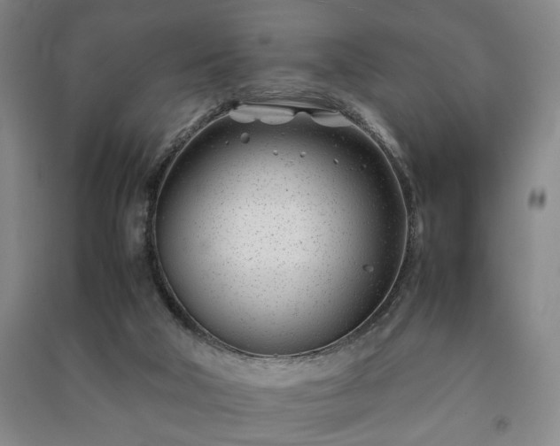 X0000091220018200708161705