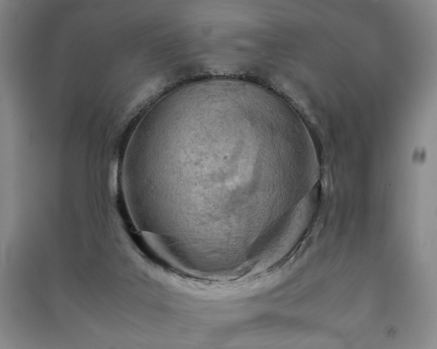 X0000091220019200708161705