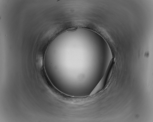 X0000091220021200708161705