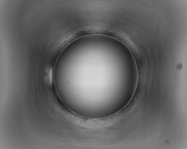 X0000091220022200708161705