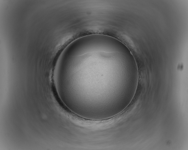 X0000091220023200708161705