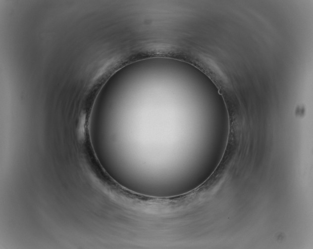 X0000091220024200708161705