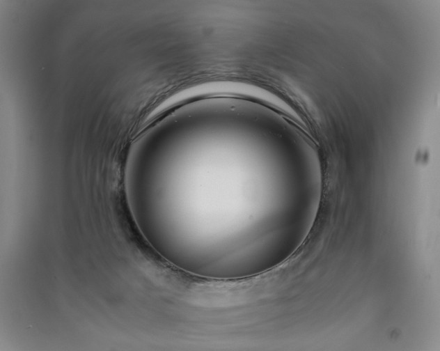 X0000091220025200708161705