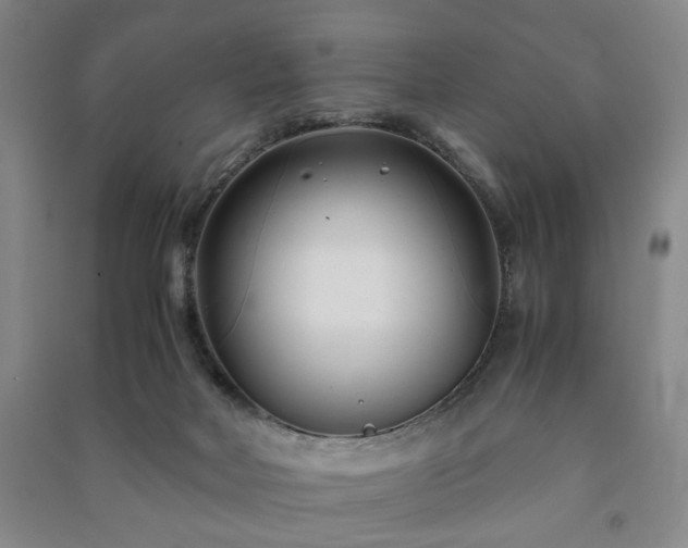 X0000091220026200708161705