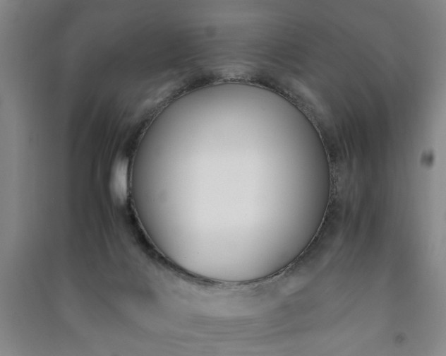 X0000091220028200708161705