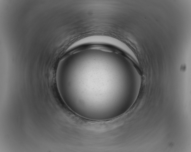 X0000091220029200708161705