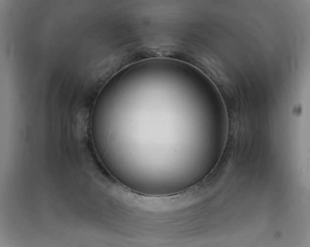 X0000091220030200708161705