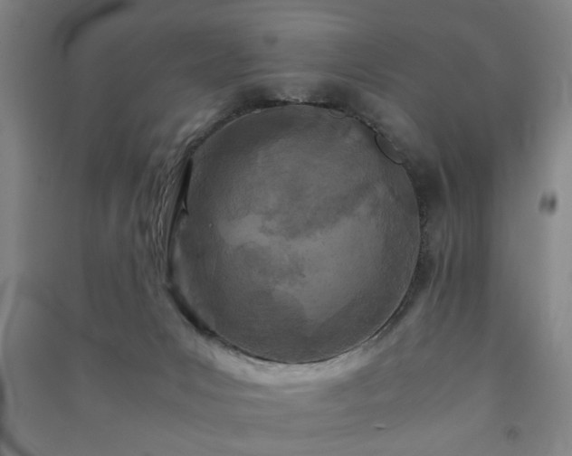 X0000091220031200708161705