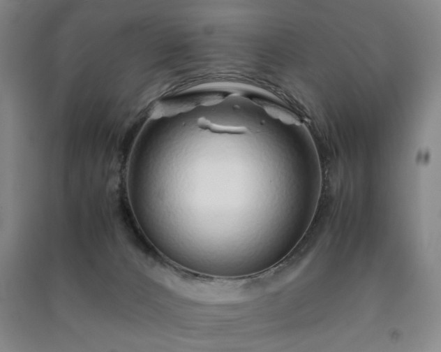 X0000091220032200708161705