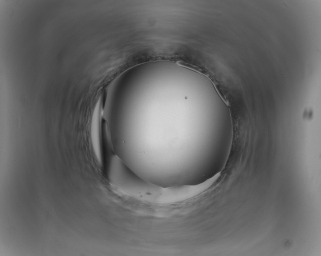 X0000091220033200708161705