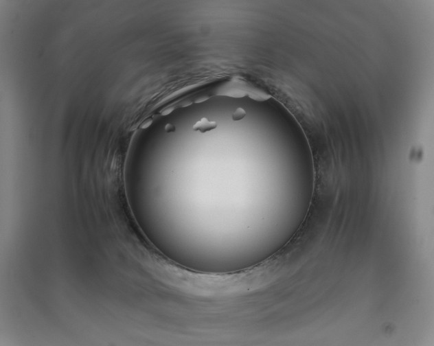 X0000091220034200708161705