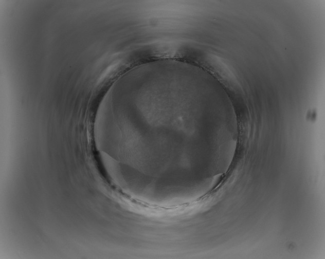 X0000091220035200708161705