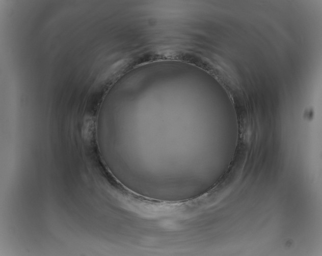 X0000091220036200708161705