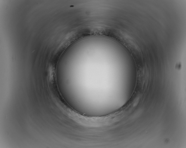 X0000091220038200708161705