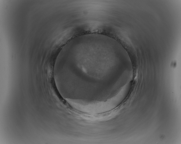 X0000091220039200708161705