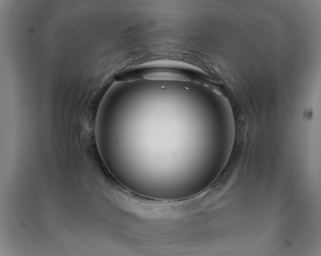 X0000091220040200708161705