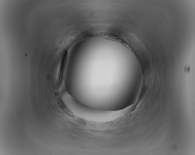 X0000091220041200708161705