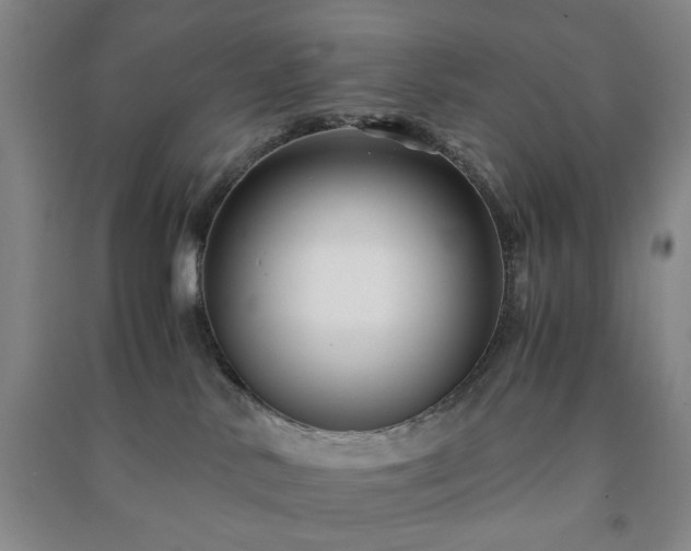 X0000091220042200708161705