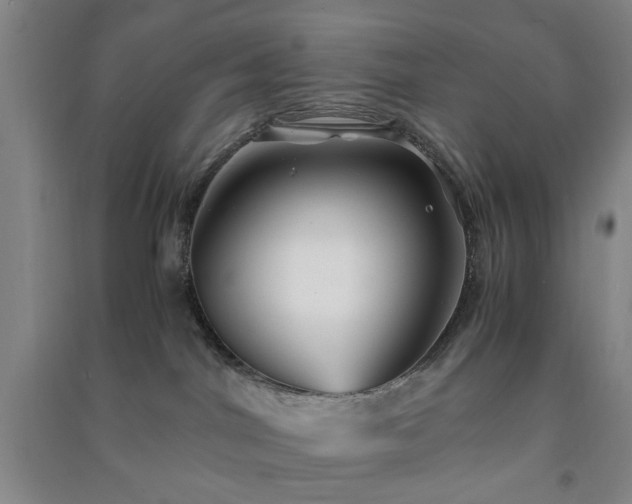 X0000091220044200708161705