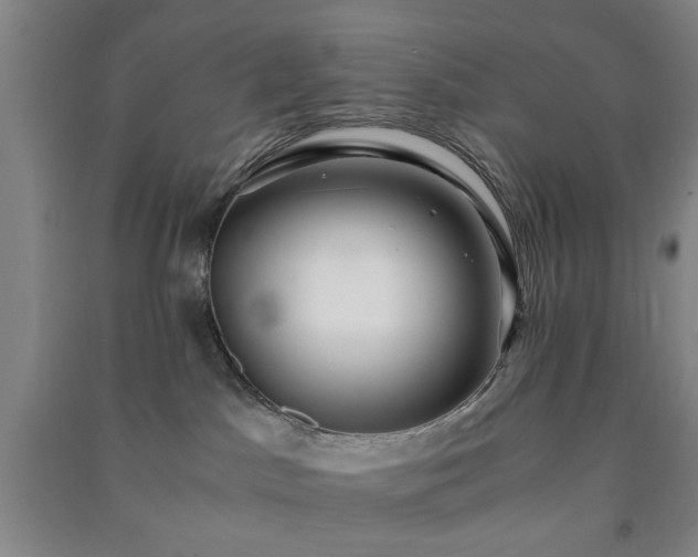 X0000091220045200708161705