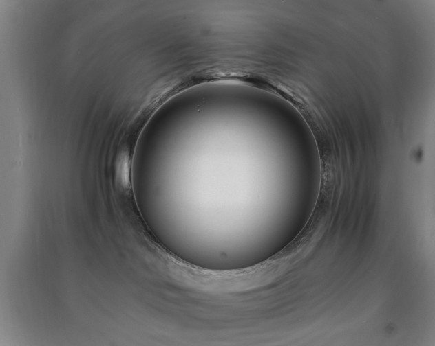 X0000091220046200708161705