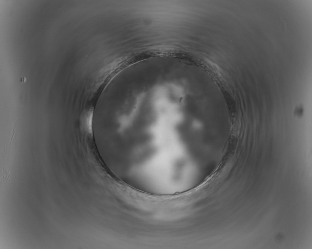 X0000091220047200708161705